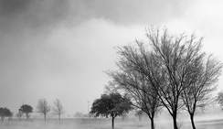 恶意发送验证短信