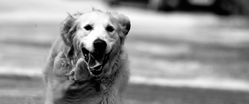 轰炸短信在线使用